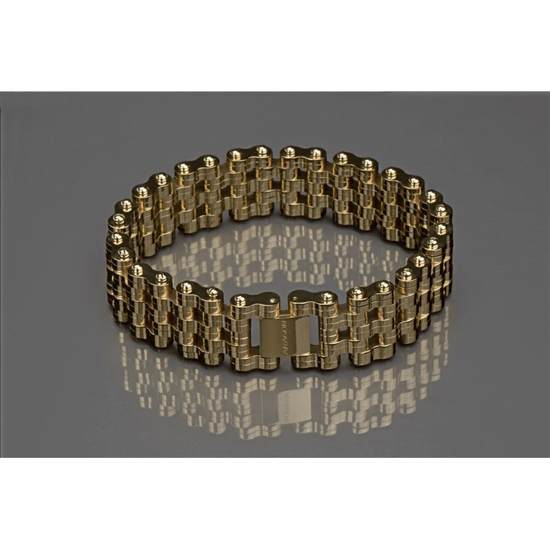 ARAGON Charger 22mm Bracelet JX140GLD