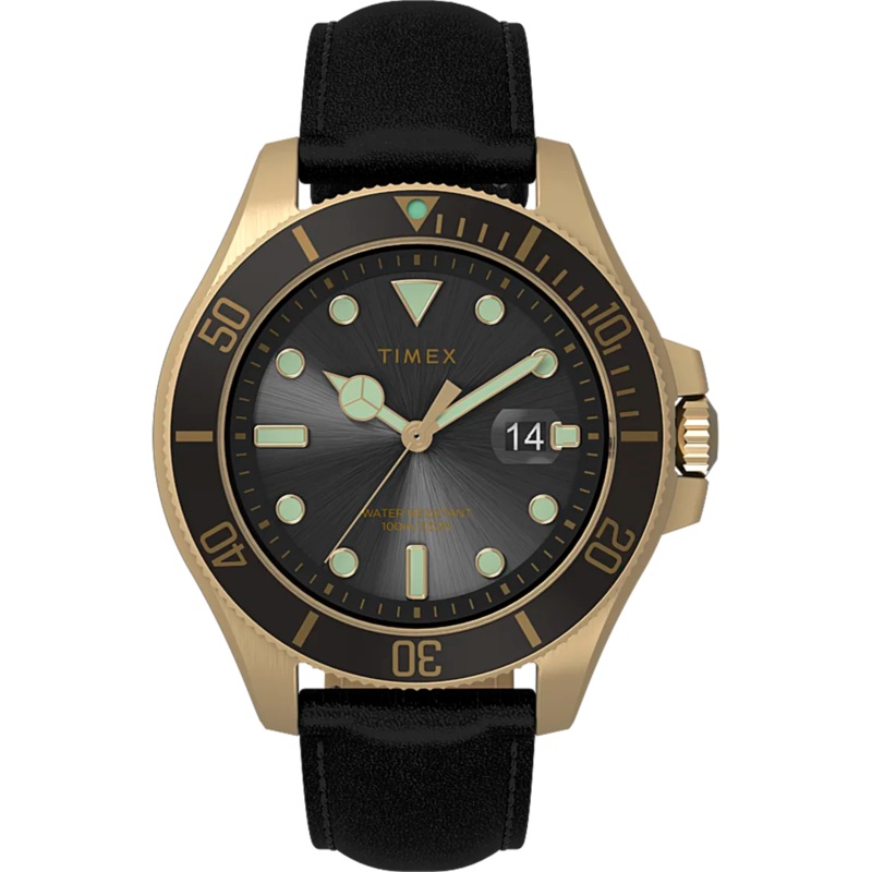 Timex Harborside Coast 43mm Leather Strap Watch TW2V42200