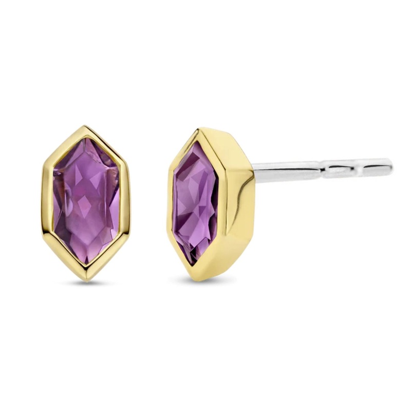 Ti Sento Yellow Gold Plated Purple CZ Stud Earrings 7944PU