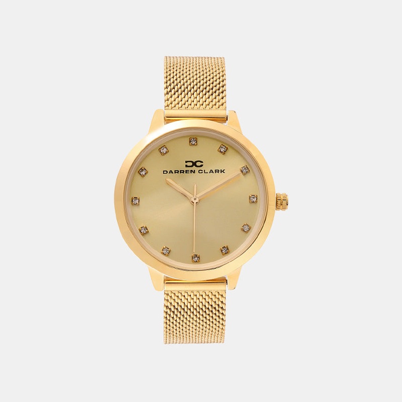 Women Quartz Champaign Dial Analog Mesh Watch 2008B-E0208
