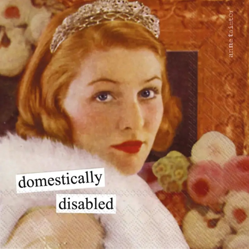 Boston International Anne Taintor Disabled Paper Cocktail Napkins-Pack Of 20