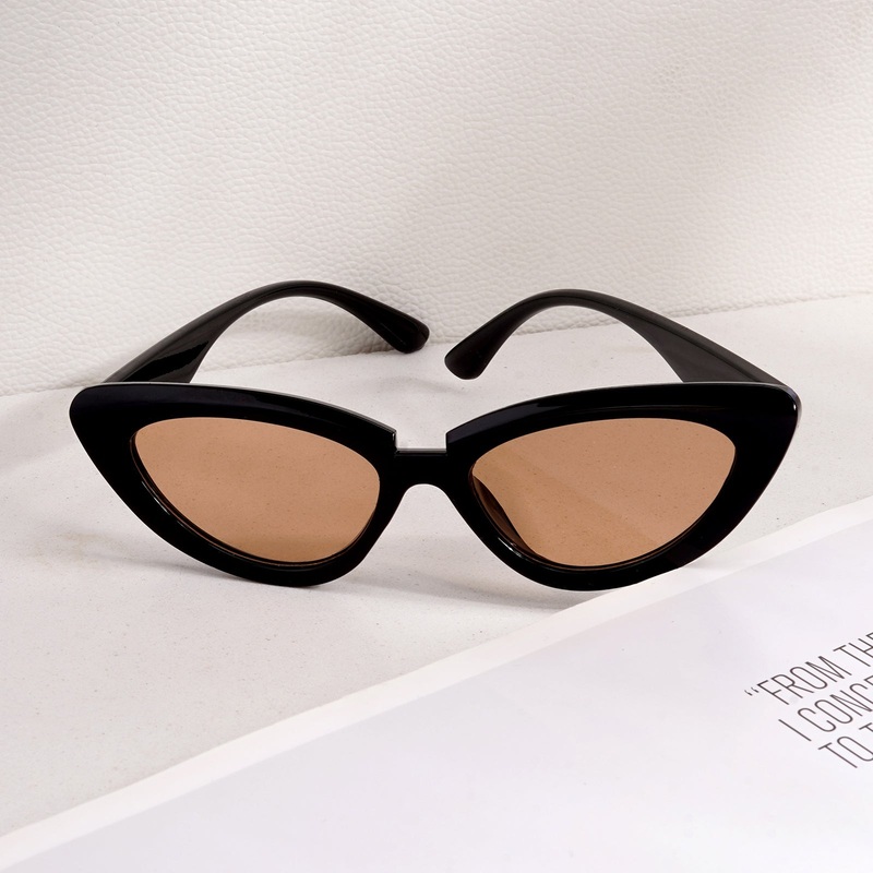 Wintour Cat Eye Black & Brown Sunglasses