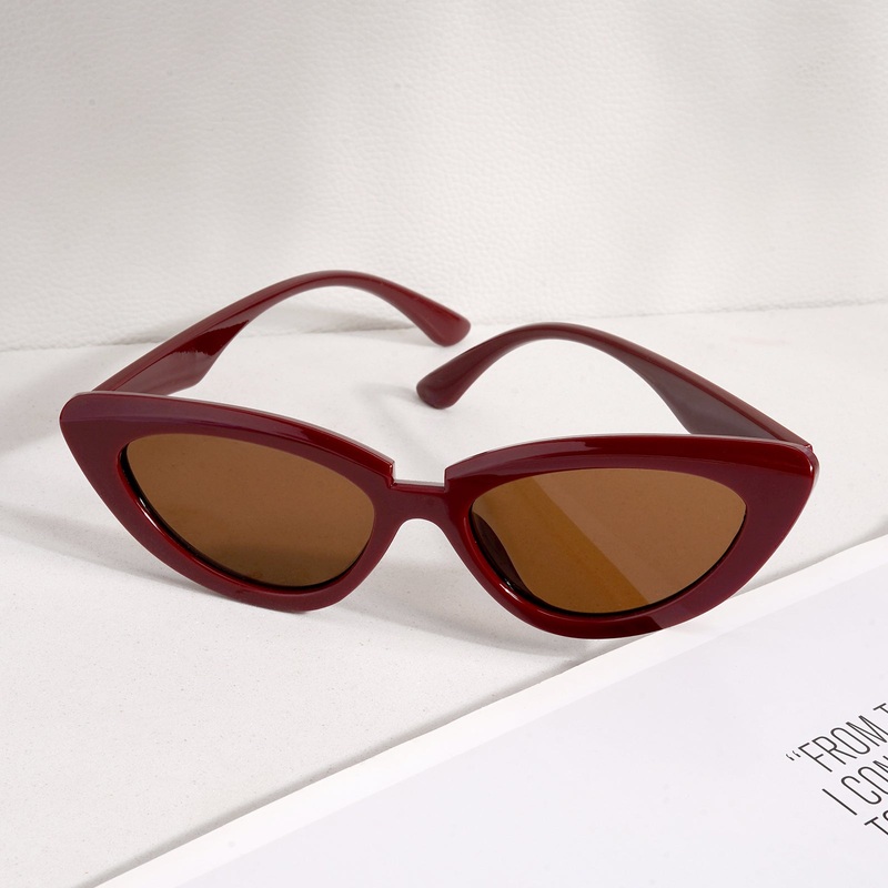 Wintour Cat Eye Dark Brown Sunglasses