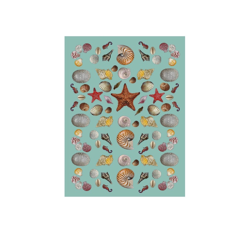 Alphie and Ollie Sea Shells Flour Sack Kitchen Towel
