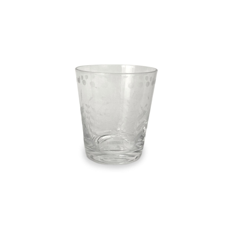Beatriz Ball Glass Fern With Dots Double Old Fashioned Set - Set of 4