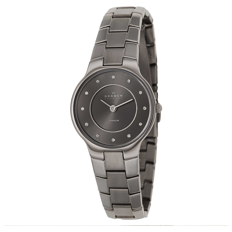 Skagen Titanium SKW2008 Women's Watch