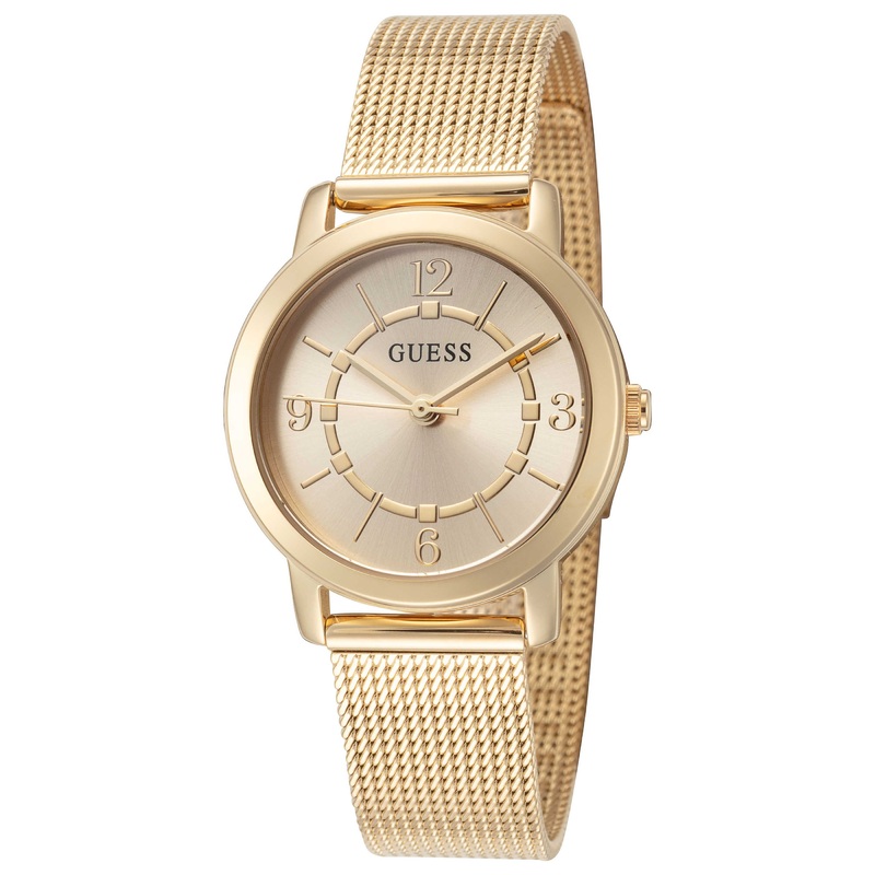 Guess Women's Watch GW0666L2